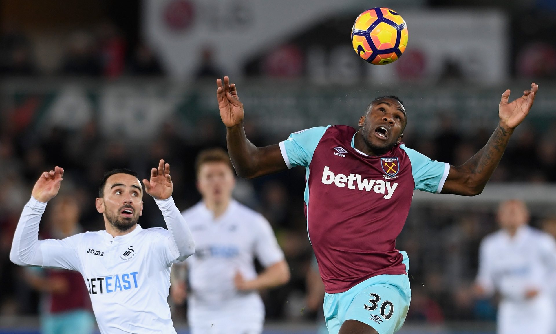 心情好，贝蒂斯新援罗克给爱犬换上贝蒂斯球衣